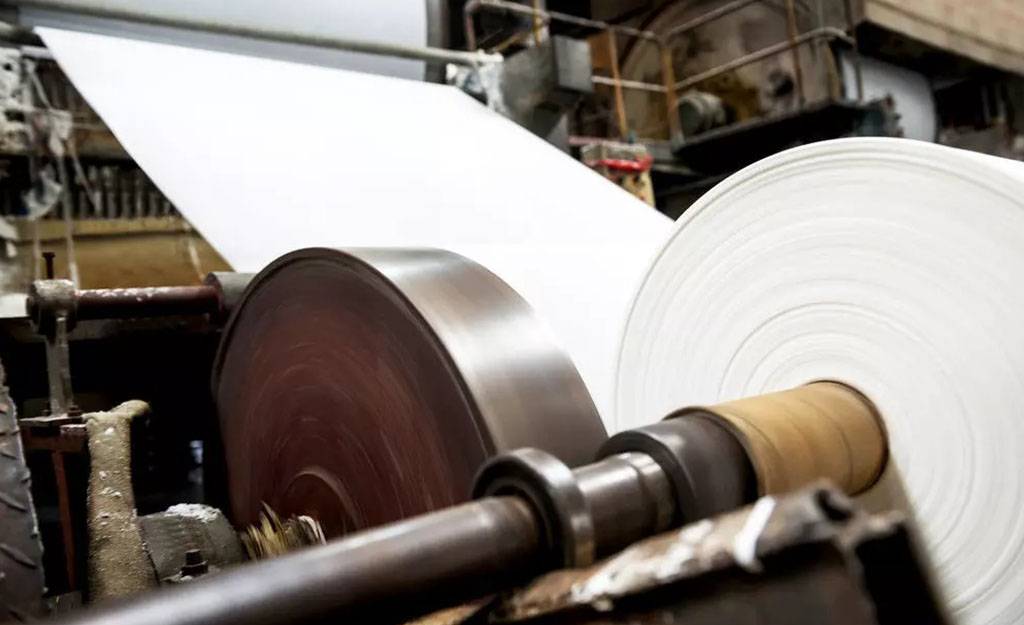 Mspackaging Paper Service Article: Manufacturing and Supply of Hygienic Paper Products